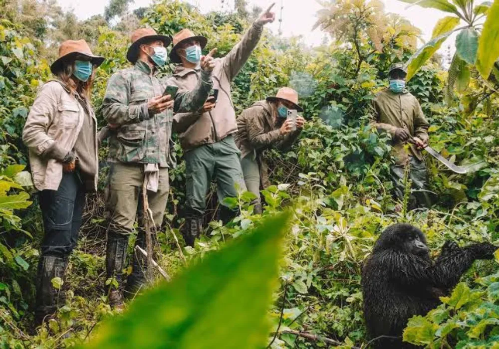 3DAY-Bwindi National Park - Gorilla Trekking - photo 3