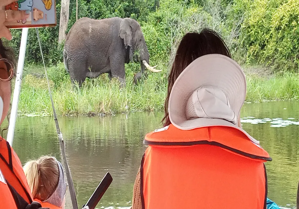 2- Day Private tour Akagera National Park, Night Game drive and Boat ride - photo 3