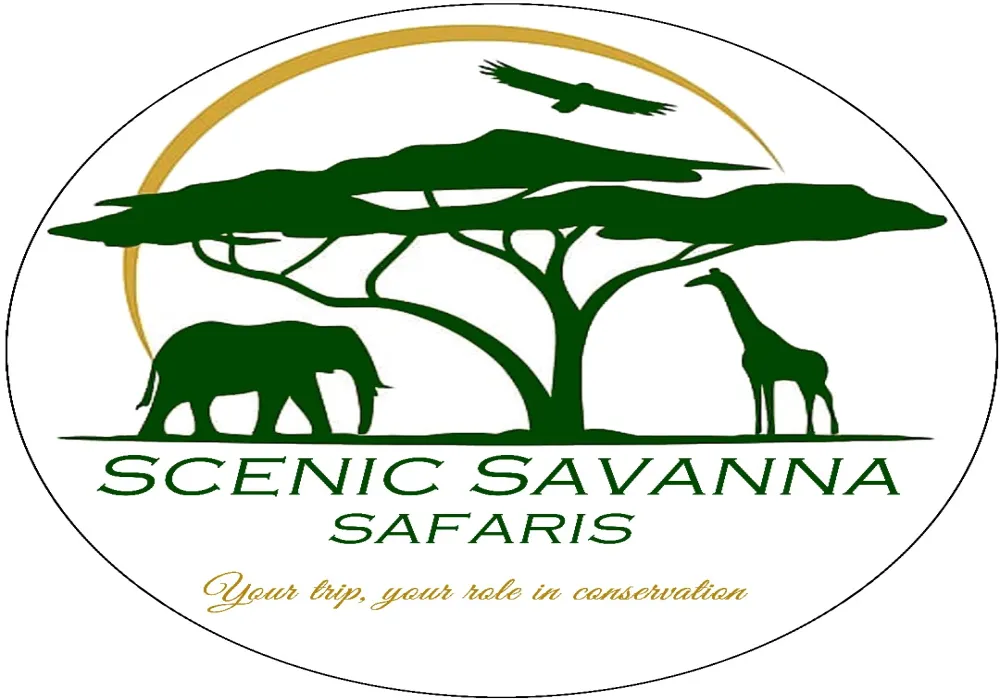 2- Day Private tour Akagera National Park, Night Game drive and Boat ride - photo 5